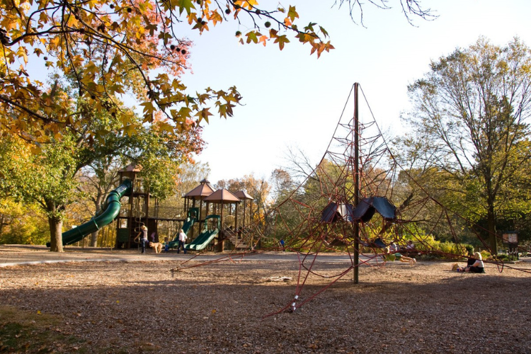 Indianapolis indoor dog park: What Indy's Indoor Bark Park is like