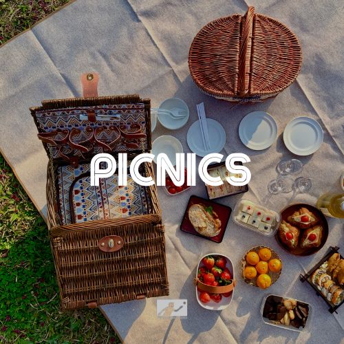 Picnic Partners