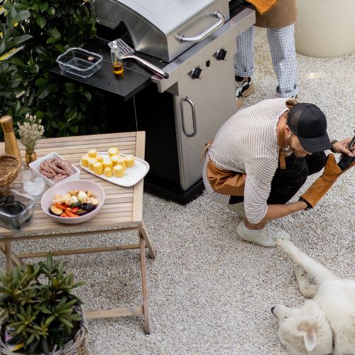Tailgating Backyard Parties Small